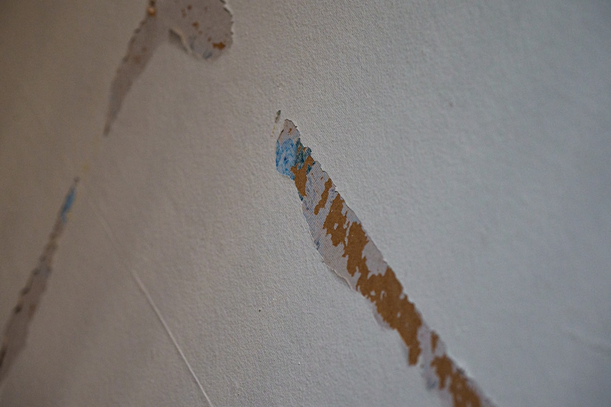 Water Extraction service in Tyler, TX